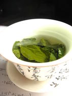 Fountain of Youth – Green Tea