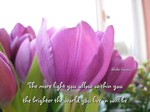 The more light you allow within you