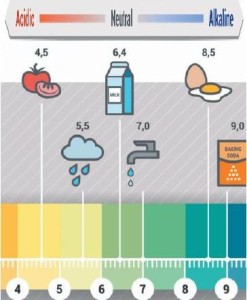 alkaline vs acidic